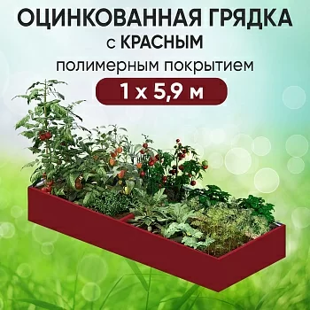 Грядка красная (1 х 5,9)