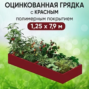 Грядка красная (1,25 х 7,9)