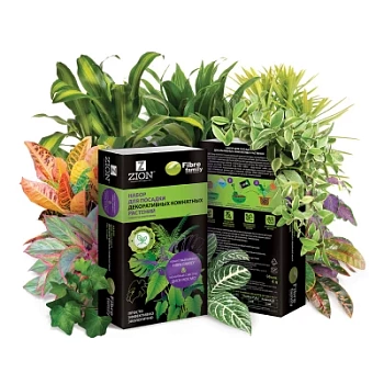 Набор для посадки декоративных комнатных растений
